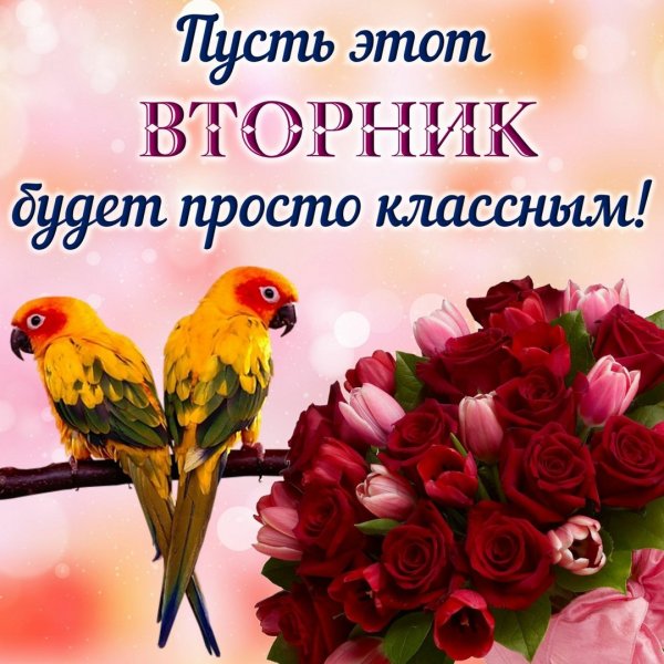 Открытки со вторником