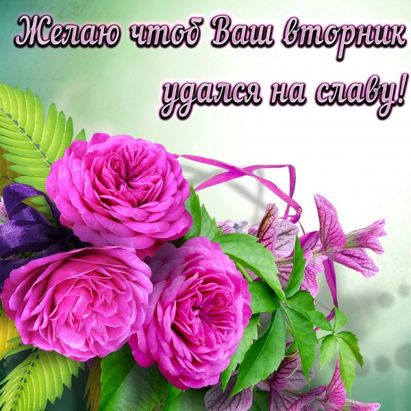 Хорошего вторника