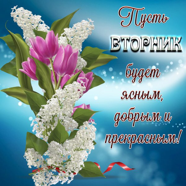 Доброе утро вторника