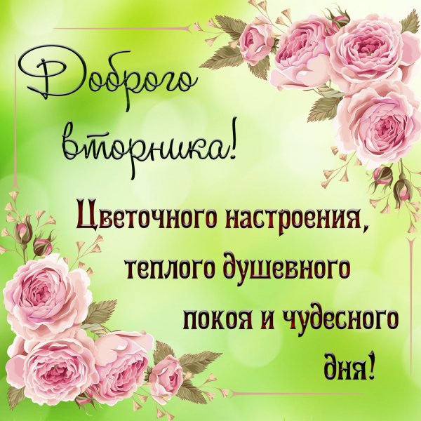 Поздравления со вторником