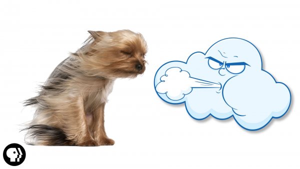 День ветра рисунки