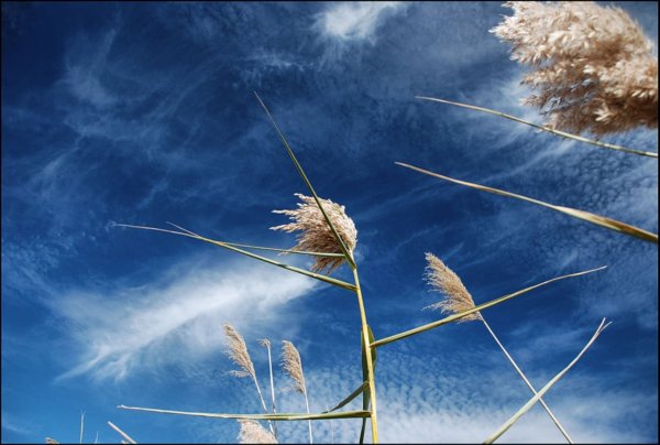 Корабль в небе