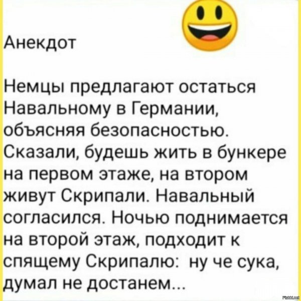 Шутка дня