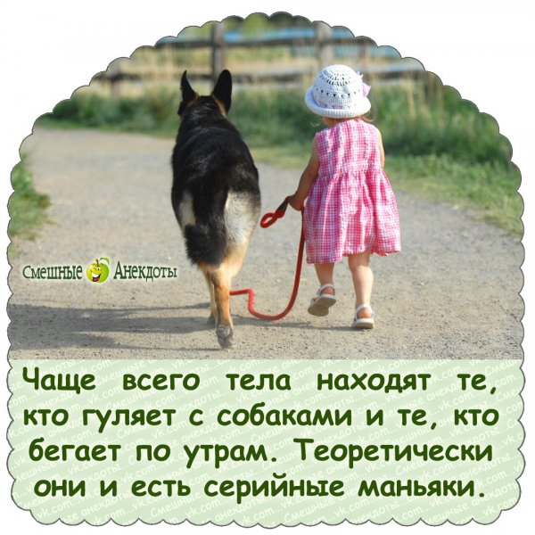 Анекдот дня пикча