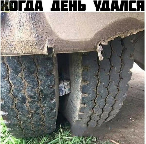 Когда день не задался с самого утра