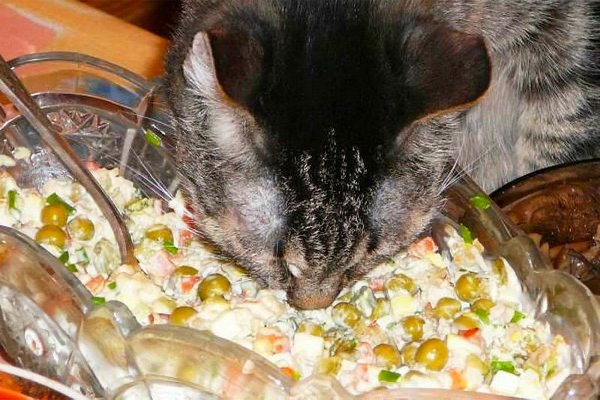 Обожрались Оливье