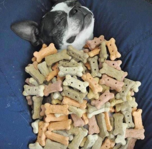 Жизнь удалась прикол