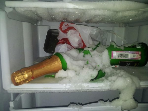 Котик желает спокойной ночи