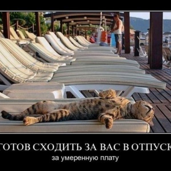 День не удался н