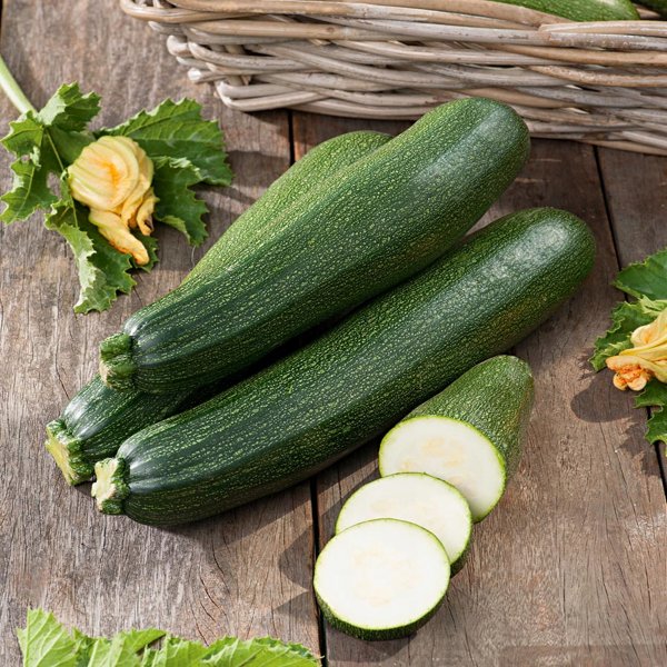 Кабачок-цуккини Нефертити