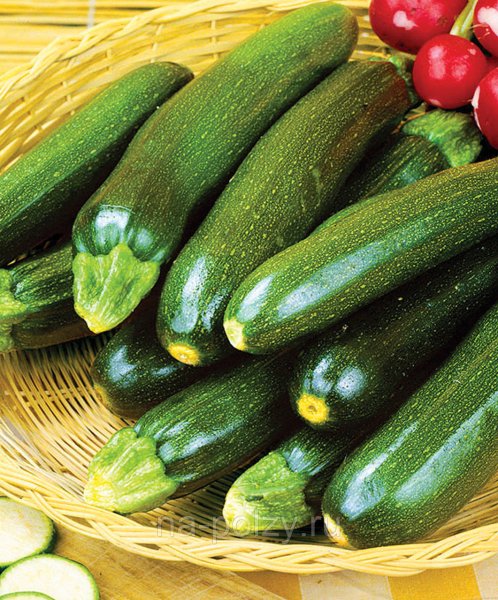 Ясмин цукини