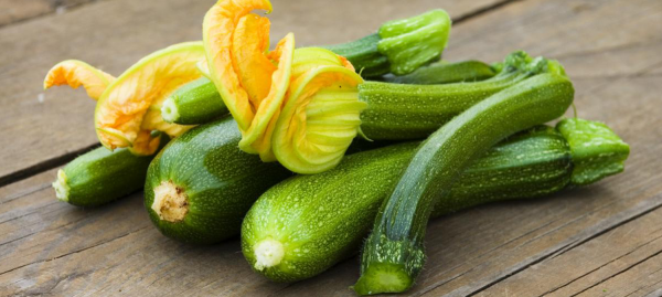 Кабачок Тристан f1