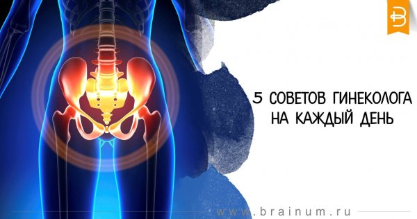 Гинеколог мультик