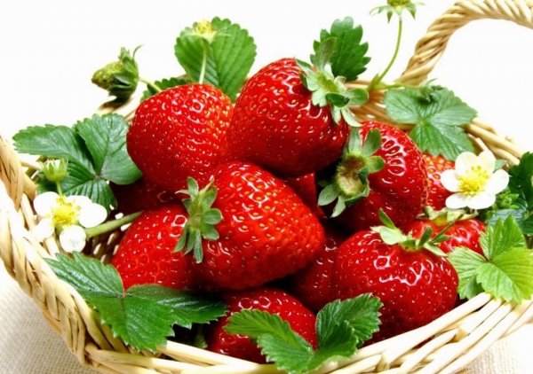 Доброе утро Ягодка