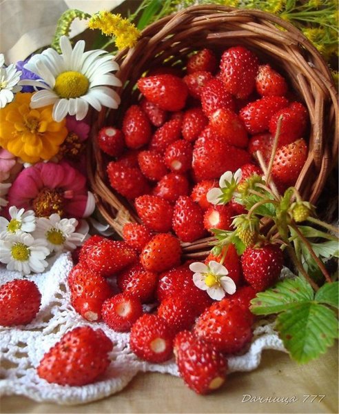 Летние ягоды