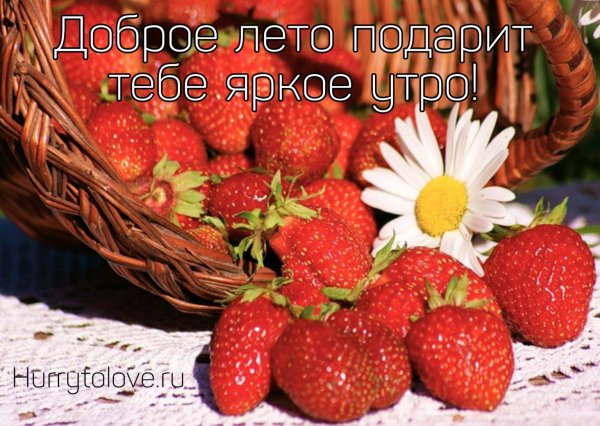 Лето земляника