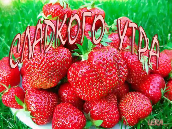 Открытки с клубникой