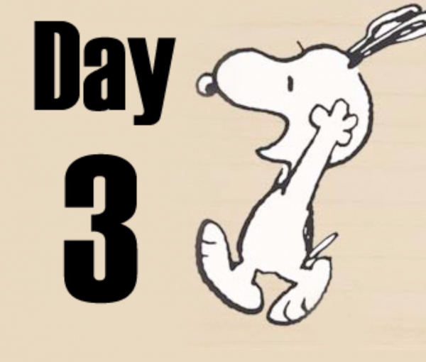 Day 3 надпись