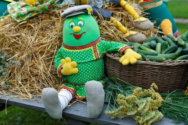 Праздник огурца в Суздале