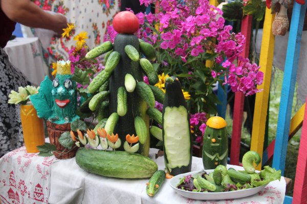 Фестиваль «день огурца» в Суздале