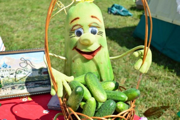 Праздник огурца в Суздале