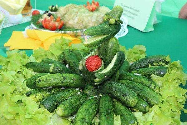 Праздник «Луховицкий огурец»