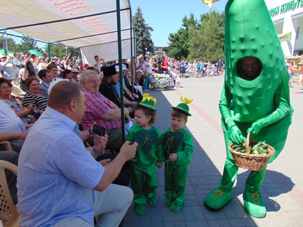 Праздник Багаевского огурца