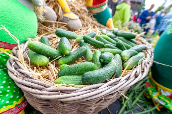 Идеи на день огурца