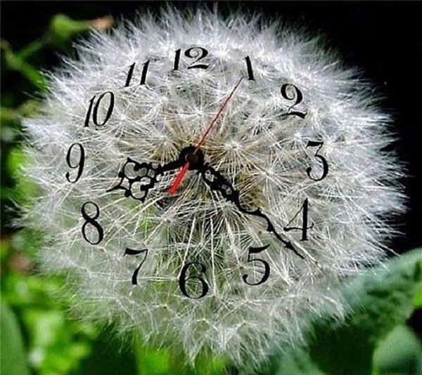Часы в виде одуванчика