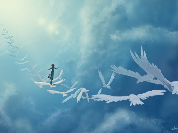 Чайка по имени Джонатан Ливингстон высказывания