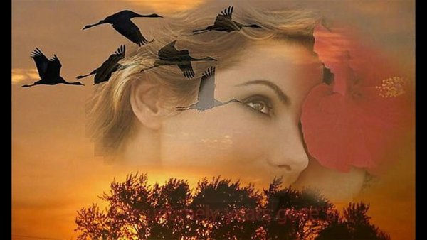 Девушка и птицы Журавли