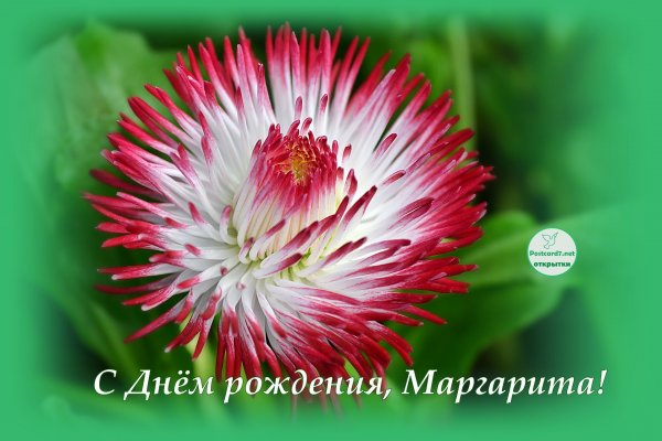 Букет маргариток для Маргариты