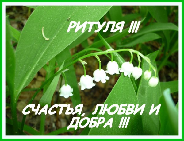 Ритуля с юбилеем