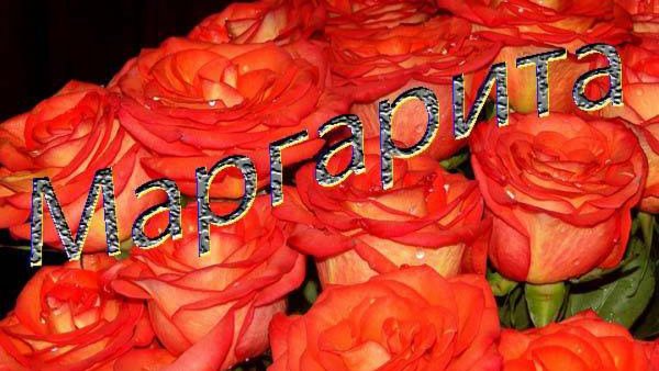 Букет роз для Маргарите