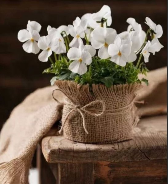 Легкого дня