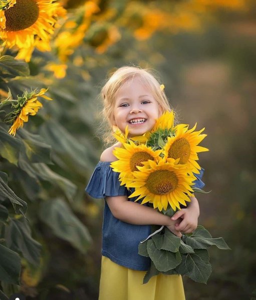 Детки Подсолнухи