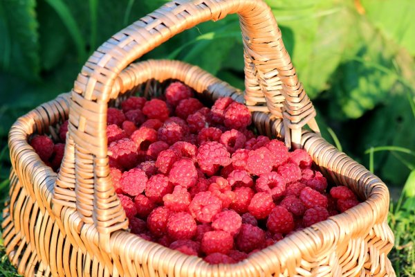 Корзинка с ягодами