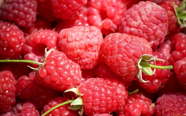 Малина красивая