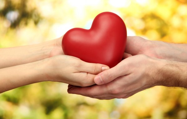 Сердце в руках