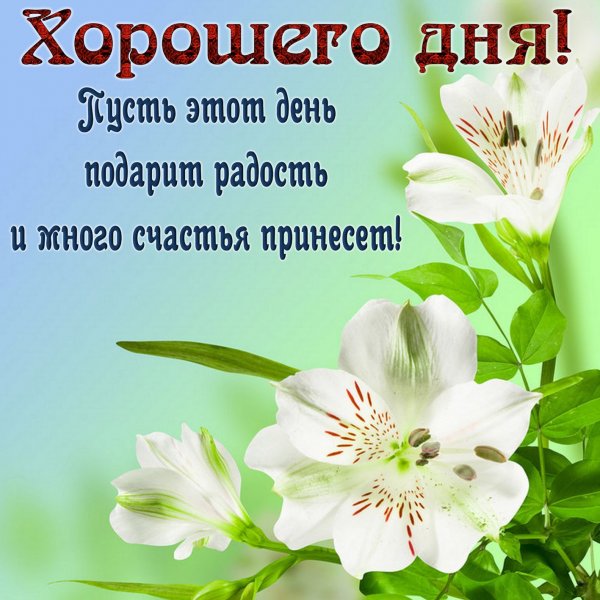 Добрый день хорошего дня