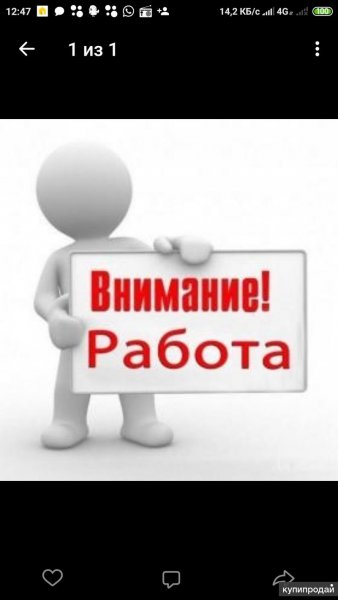 Внимание работа