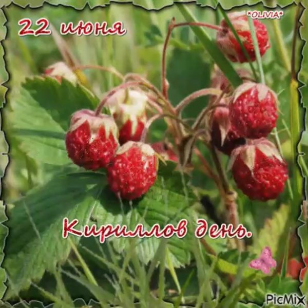 31 Марта Кириллов день