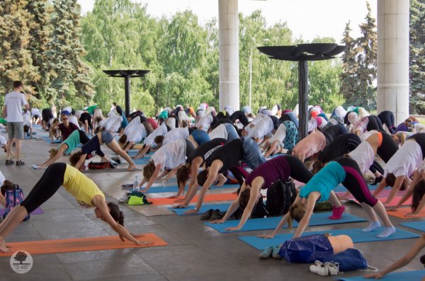 Международный день йоги 2016