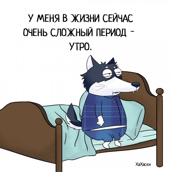 Утро прикол