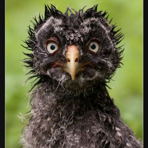 Утро понедельника приколы