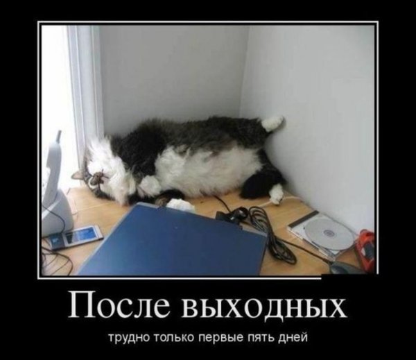 Демотиваторы про понедельник смешные