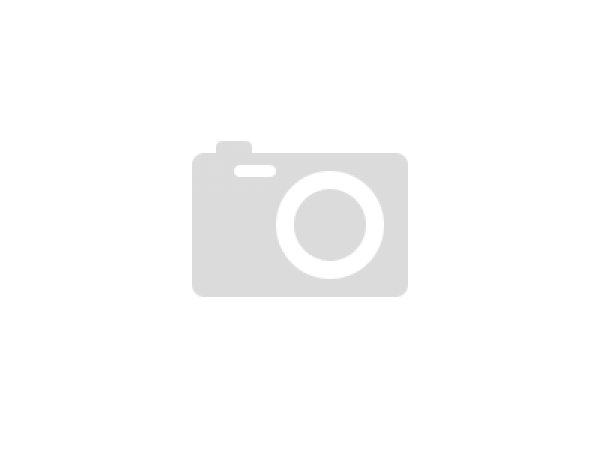 29. Финогеев день