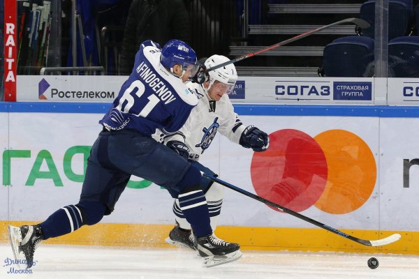 Фото хк Динамо 2008