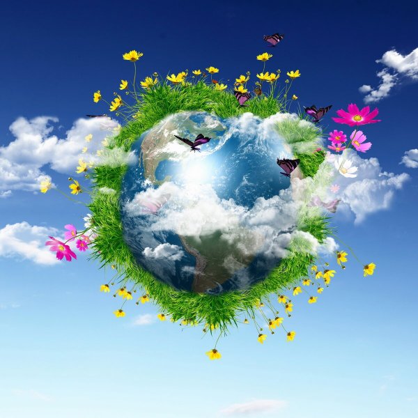 Природа наш дом