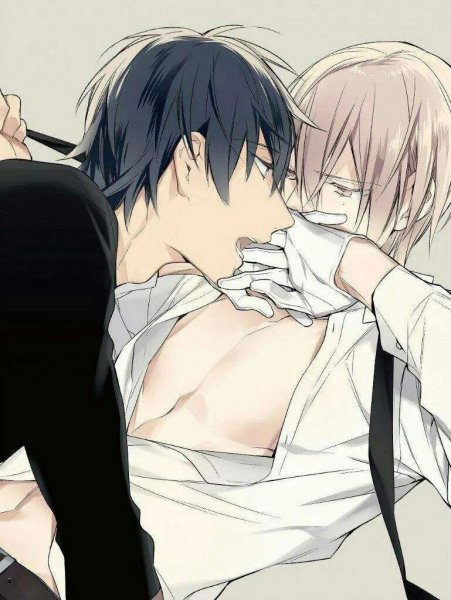 Куросе Рику и Широтани Тадаоми